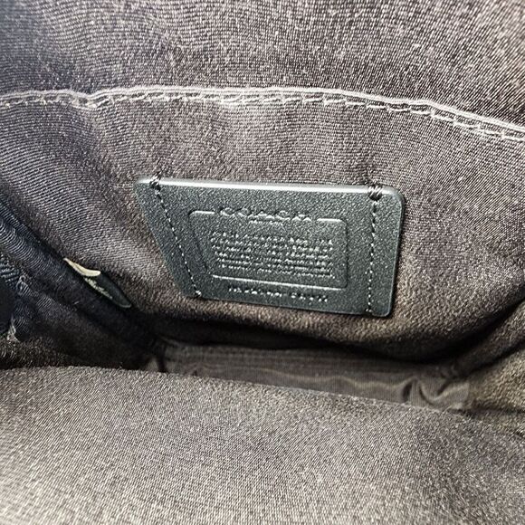 NWT Coach CO917 Aden Crossbody in Foil Metallic Refined Pebble Leather Silver - Picture 5 of 5